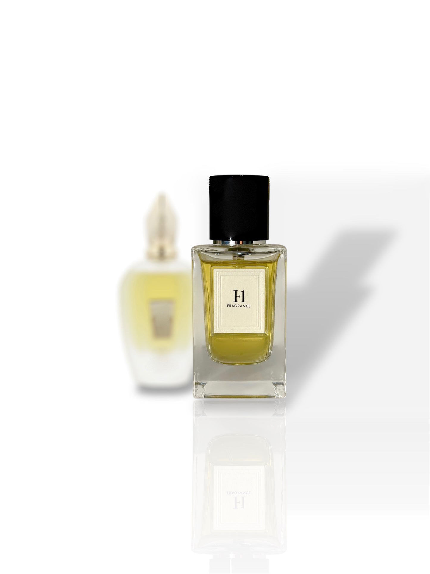 H101